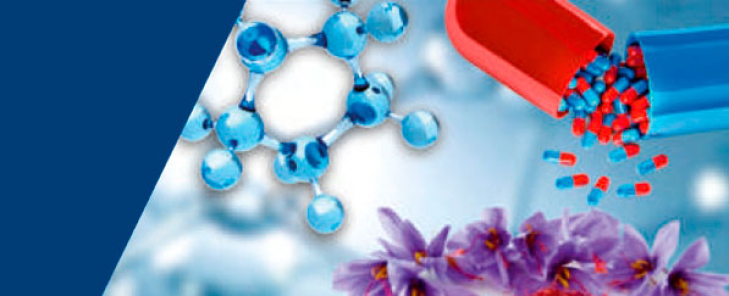 Выпуск: 4/2025